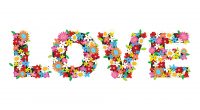 Flowers Love3884016152 200x110 - Flowers Love - Love, Flowers